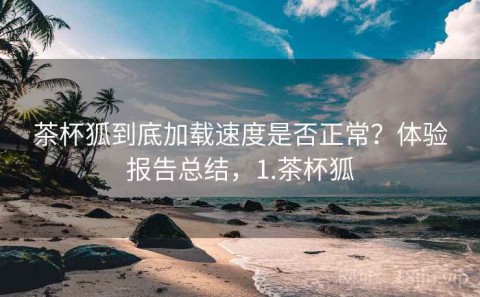 茶杯狐到底加载速度是否正常？体验报告总结，1.茶杯狐