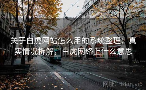 关于白虎网站怎么用的系统整理：真实情况拆解，白虎网络上什么意思