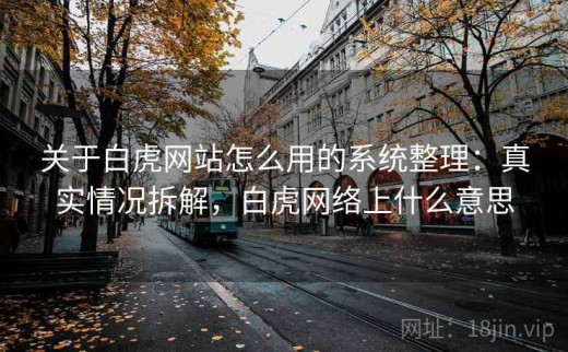 关于白虎网站怎么用的系统整理：真实情况拆解，白虎网络上什么意思