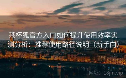 茶杯狐官方入口如何提升使用效率实测分析：推荐使用路径说明（新手向）