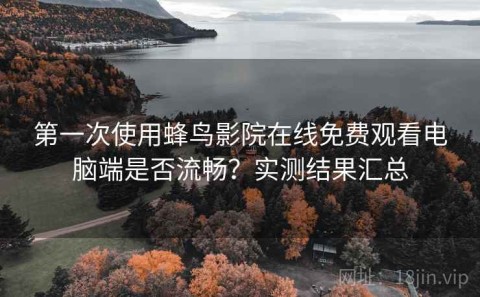 第一次使用蜂鸟影院在线免费观看电脑端是否流畅？实测结果汇总