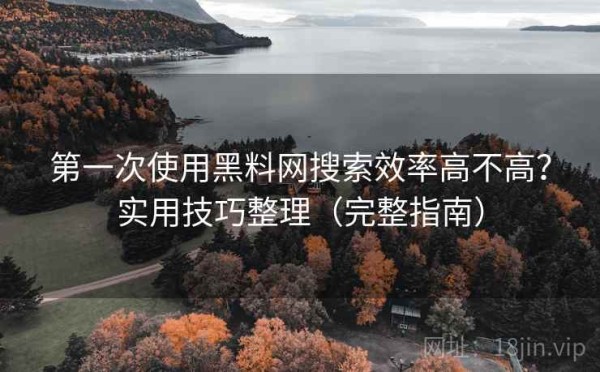 第一次使用黑料网搜索效率高不高？实用技巧整理（完整指南）