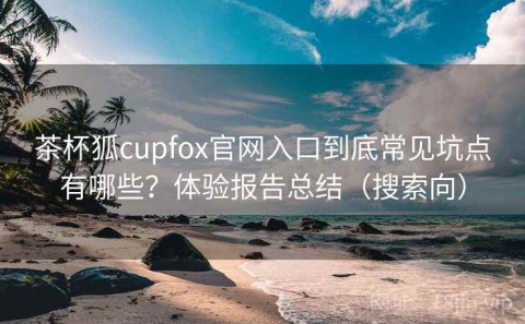 茶杯狐cupfox官网入口到底常见坑点有哪些？体验报告总结（搜索向）