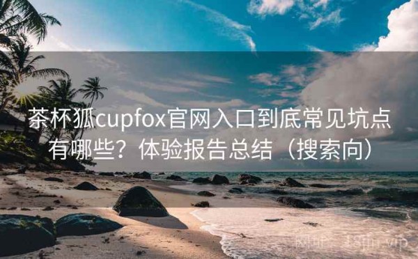 茶杯狐cupfox官网入口到底常见坑点有哪些？体验报告总结（搜索向）
