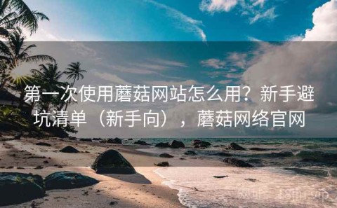 第一次使用蘑菇网站怎么用？新手避坑清单（新手向），蘑菇网络官网