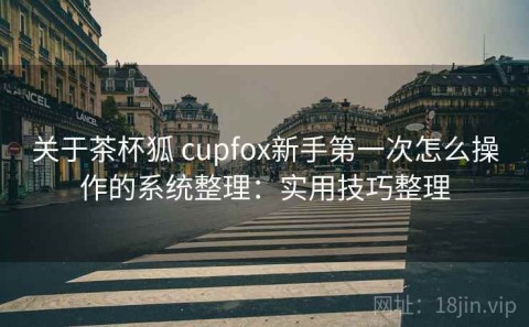关于茶杯狐 cupfox新手第一次怎么操作的系统整理：实用技巧整理