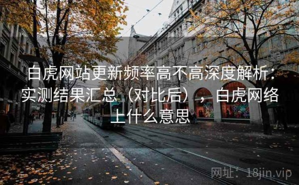 白虎网站更新频率高不高深度解析：实测结果汇总（对比后），白虎网络上什么意思