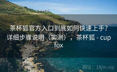 茶杯狐官方入口到底如何快速上手？详细步骤说明（实测），茶杯狐 - cupfox