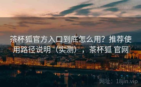 茶杯狐官方入口到底怎么用？推荐使用路径说明（实测），茶杯狐 官网