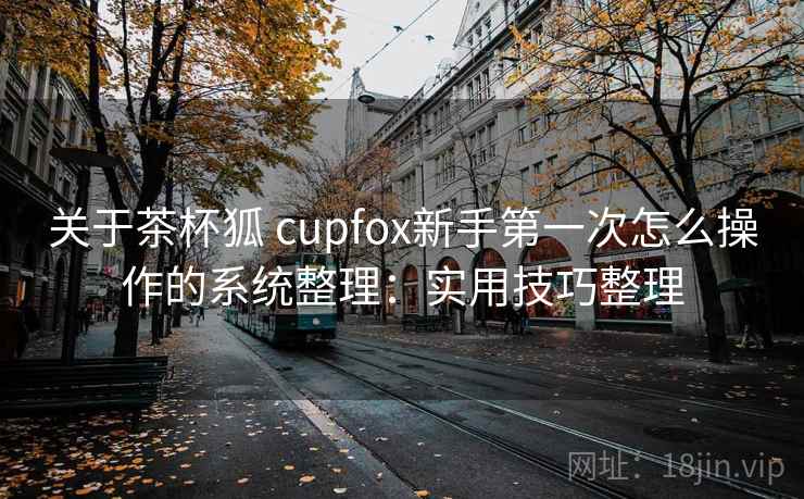 关于茶杯狐 cupfox新手第一次怎么操作的系统整理：实用技巧整理