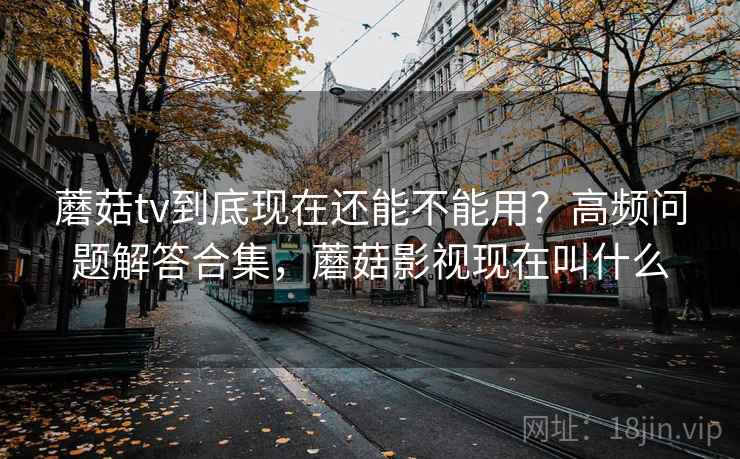蘑菇tv到底现在还能不能用？高频问题解答合集，蘑菇影视现在叫什么