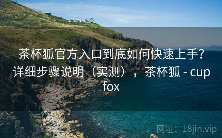 茶杯狐官方入口到底如何快速上手？详细步骤说明（实测），茶杯狐 - cupfox