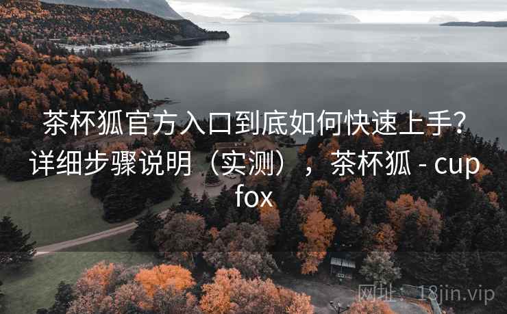 茶杯狐官方入口到底如何快速上手？详细步骤说明（实测），茶杯狐 - cupfox